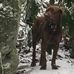 Thomas Falin - Facebook