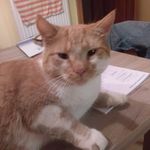Thomas Fäller - @thomas.faller.9256 - Instagram