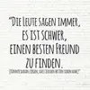 Thommi - @thomas_faller - TikTok