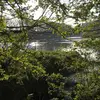 Thomas Falls - @thomasfalls0 - TikTok