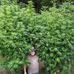 Thomas Farber - Facebook