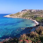 Thomas Farrugia - Facebook