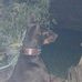 Thomas Faught - Facebook