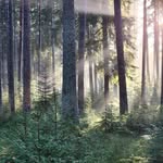 Thomas Fehrenbach - @thomas.fehrenbach.10 - Instagram