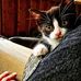 Thomas Feldman - Facebook