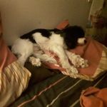thomas ferrier - @leny2.biscuit - Instagram