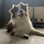 Thomas Ferrier - @thomas.ferrier - Instagram