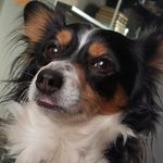 Thomas Ferry - @bathomast - Instagram
