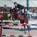 Thomas Fester - Facebook