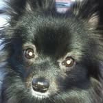Thomas Fetters-Shrewsberry - @amfsberry - Instagram