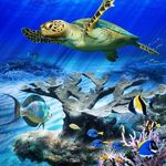 Thomas Fewell - @thomas.fewell.10 - Instagram
