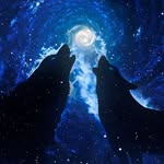 Thomas Fields - @thomas.scott.fields66 - Instagram