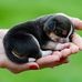Thomas Fifer - Facebook