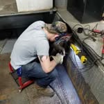 Thomas Finnerty - @tfinnerty64 - Instagram