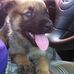 Thomas Flach - Facebook