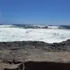 Thomas Flach - @thomas.flach - TikTok