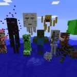 Thomas Flake - @thomasnu_1 - Instagram