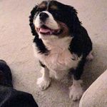 Thomas Flannagan - @thomas.flannagan.5 - Instagram