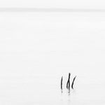 Thomas Fleckenstein - @moments_of_ma - Instagram