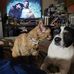 Tom Fleeman - Facebook