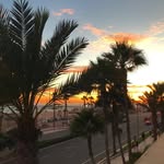 Thomas Fleming - @thomas__fleming - Instagram
