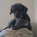 Thomas Flippen - Facebook