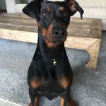 Thomas Førde - @fordethomas0308 - Instagram