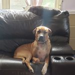 Thomas Foreman - @nepsolutions_1 - Instagram