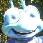 Thomas Formica - @tjf.38 - Instagram