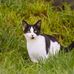 Tom Forrestal - Facebook