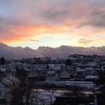 Thomas Forster - @thomas.forster - Instagram
