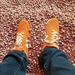 Thomas Forsthuber - @thomas_forsthuber - Instagram