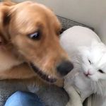 THOMAS FORTIER - @_fortt_ - Instagram