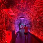 thomas fortier-gascon - @thomgascon - Instagram