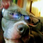 Thomas_fraley - @tommy_fraley2257 - Instagram