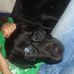 Thomas Franek - Facebook