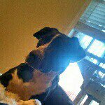 Thomas_freeman - @thomas_e_freeman - Instagram