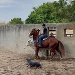 Thomas Freire - @thomas_freeire - Instagram