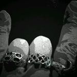 Thomas Frey - @thomas.frey.5095 - Instagram