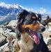 Thomas Frischmann - Facebook