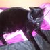 Thomas Frischmann - Facebook
