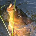 Thomas Fritsch - @thomas.fritsch.568 - Instagram
