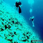 Thomas Frommert - @thomas.frommert1969 - Instagram