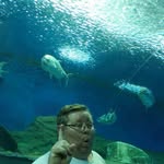 Thomas Frommhold - @thomasfrommhold - Instagram