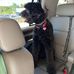 Thomas Fryman - Facebook