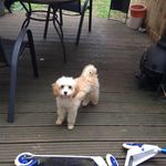 Fudgethomas - @fudge.thomas - Instagram