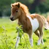 Ponysay - @thomasfudge867 - TikTok