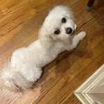 Thomas L. Fullam, Sr. - @thomasl.fullam - Instagram