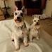 Tom Fultz - Facebook