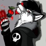 thomas - @thomasfurry51100 - Instagram